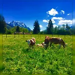 Hotel Gastehaus Christina -wallgau *